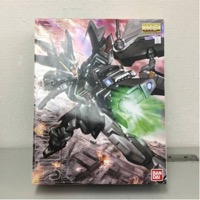 ガンダム GAT-X105E ストライクノワール 1 100 MG